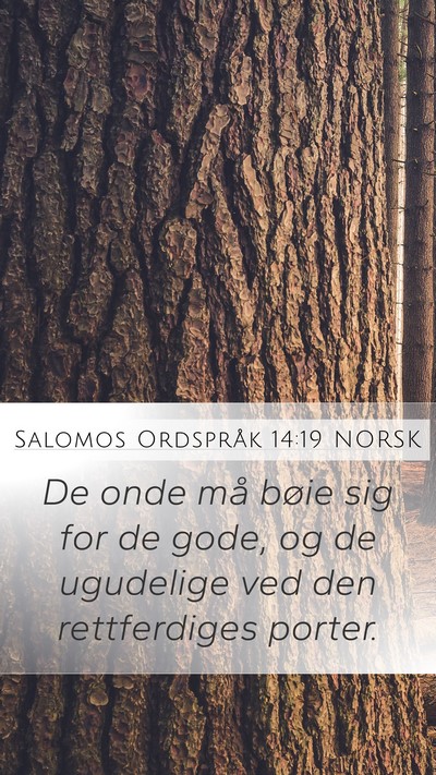 Salomos Ordspråk 14:19 NORSK Bible Verse Image