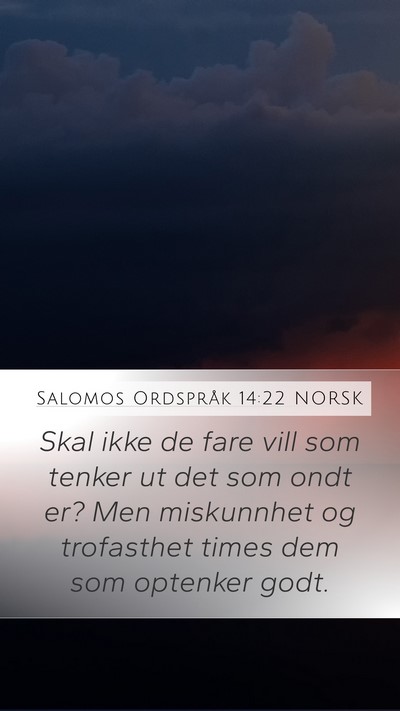 Salomos Ordspråk 14:22 NORSK Bible Verse Image
