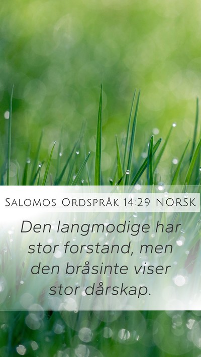 Salomos Ordspråk 14:29 NORSK Bible Verse Image