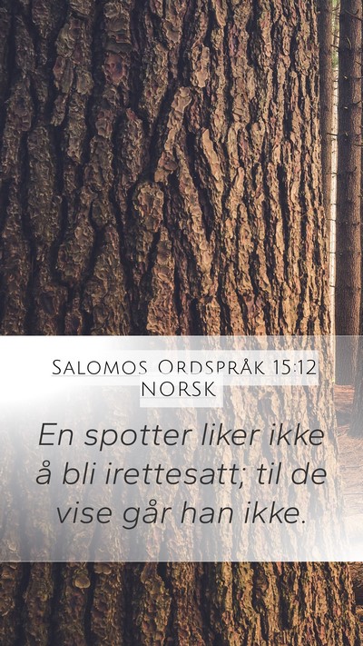 Salomos Ordspråk 15:12 NORSK Bible Verse Image