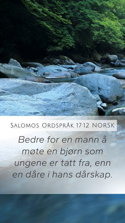 Salomos Ordspråk 17:12 NORSK Bible Verse Image