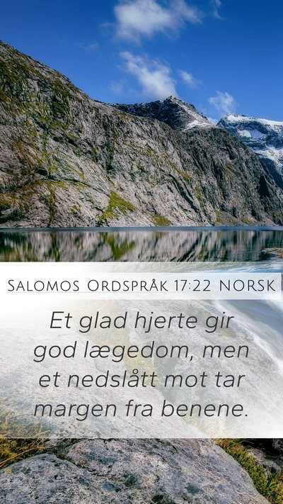 Salomos Ordspråk 17:22 NORSK Bible Verse Image