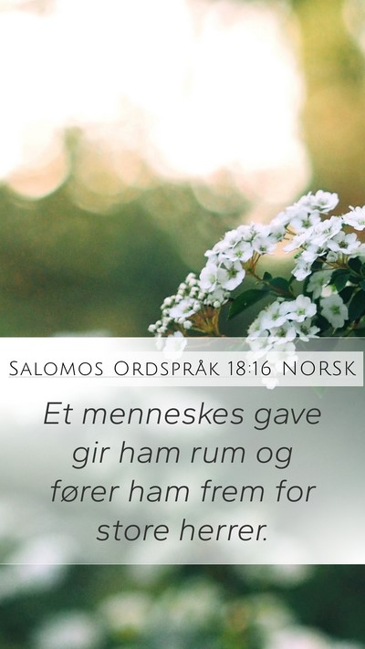 Salomos Ordspråk 18:16 NORSK Bible Verse Image