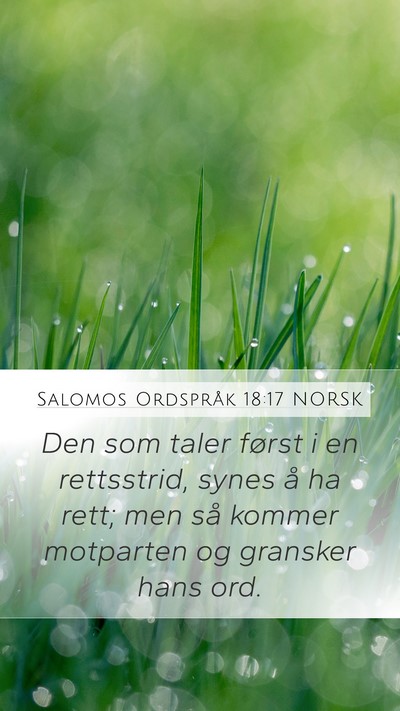 Salomos Ordspråk 18:17 NORSK Bible Verse Image