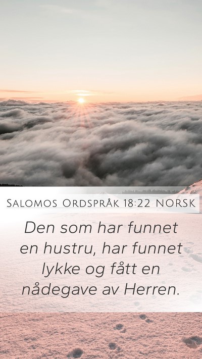 Salomos Ordspråk 18:22 NORSK Bible Verse Image