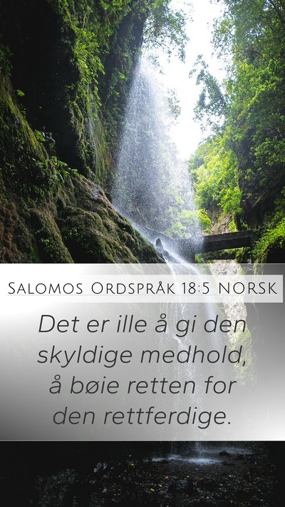 Salomos Ordspråk 18:5 NORSK Bible Verse Image