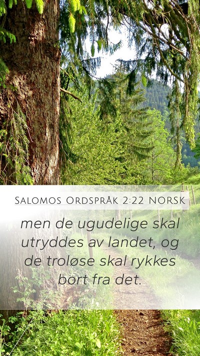 Salomos Ordspråk 2:22 NORSK Bible Verse Image