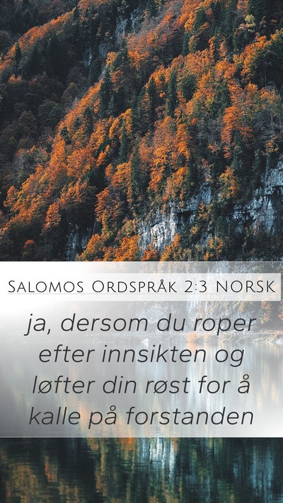 Salomos Ordspråk 2:3 NORSK Bible Verse Image