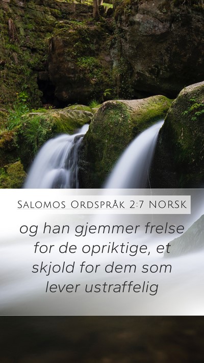 Salomos Ordspråk 2:7 NORSK Bible Verse Image