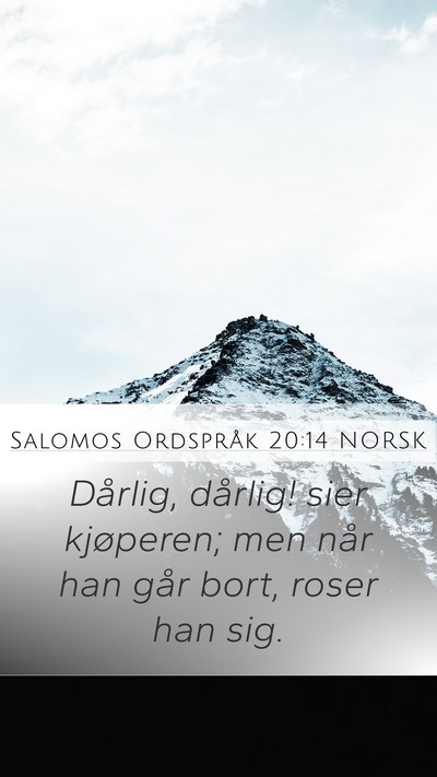 Salomos Ordspråk 20:14 NORSK Bible Verse Image