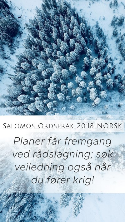 Salomos Ordspråk 20:18 NORSK Bible Verse Image