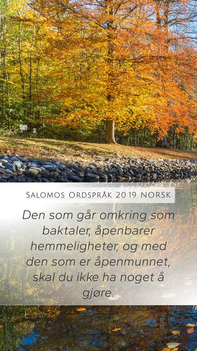 Salomos Ordspråk 20:19 NORSK Bible Verse Image