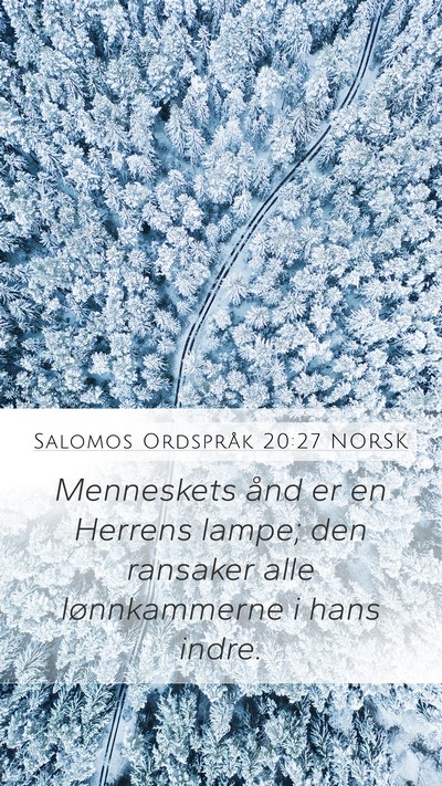 Salomos Ordspråk 20:27 NORSK Bible Verse Image