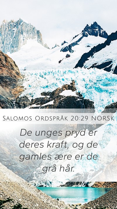 Salomos Ordspråk 20:29 NORSK Bible Verse Image