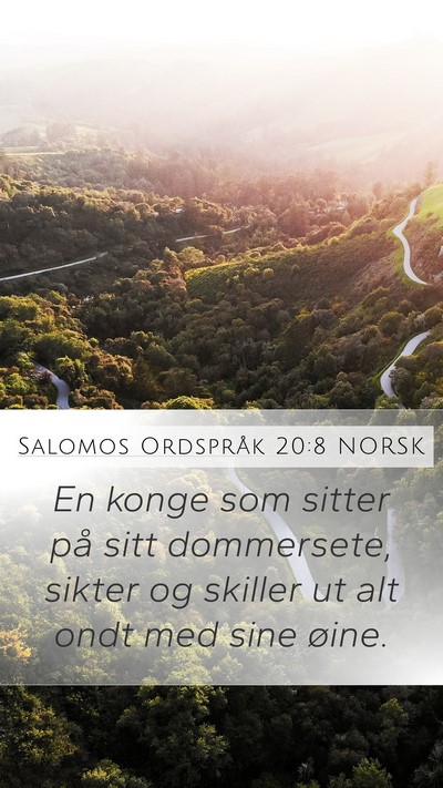 Salomos Ordspråk 20:8 NORSK Bible Verse Image