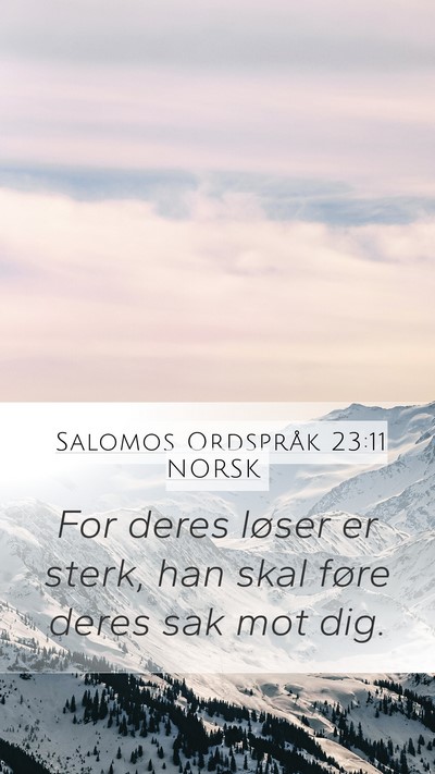 Salomos Ordspråk 23:11 NORSK Bible Verse Image