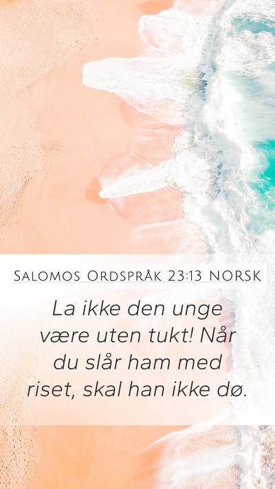 Salomos Ordspråk 23:13 NORSK Bible Verse Image