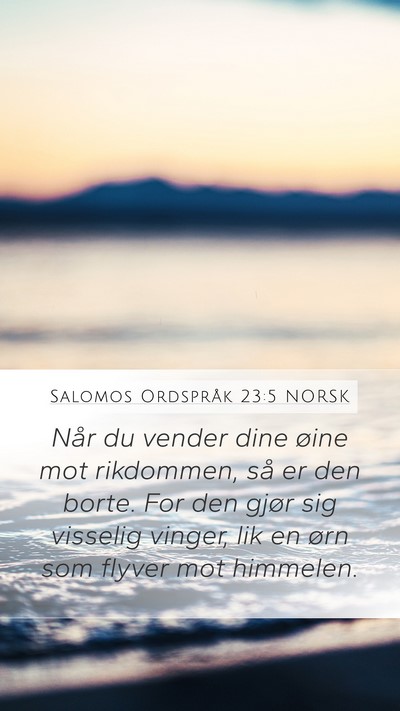 Salomos Ordspråk 23:5 NORSK Bible Verse Image
