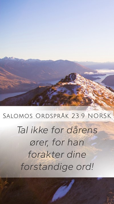 Salomos Ordspråk 23:9 NORSK Bible Verse Image