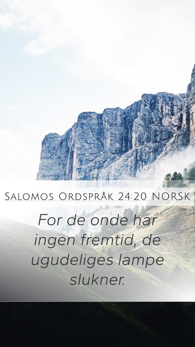 Salomos Ordspråk 24:20 NORSK Bible Verse Image