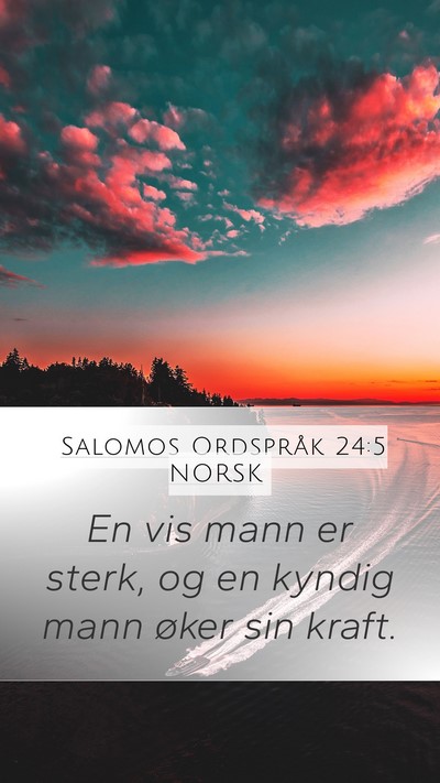 Salomos Ordspråk 24:5 NORSK Bible Verse Image