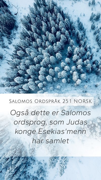 Salomos Ordspråk 25:1 NORSK Bible Verse Image
