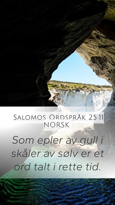 Salomos Ordspråk 25:11 NORSK Bible Verse Image