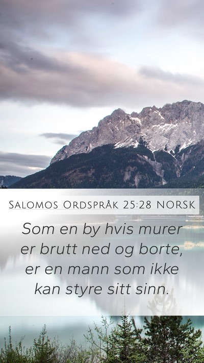 Salomos Ordspråk 25:28 NORSK Bible Verse Image