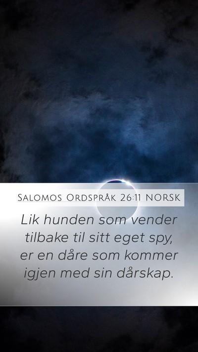Salomos Ordspråk 26:11 NORSK Bible Verse Image