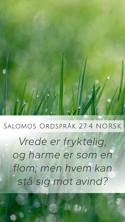 Salomos Ordspråk 27:4 NORSK Bible Verse Image