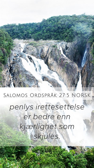 Salomos Ordspråk 27:5 NORSK Bible Verse Image