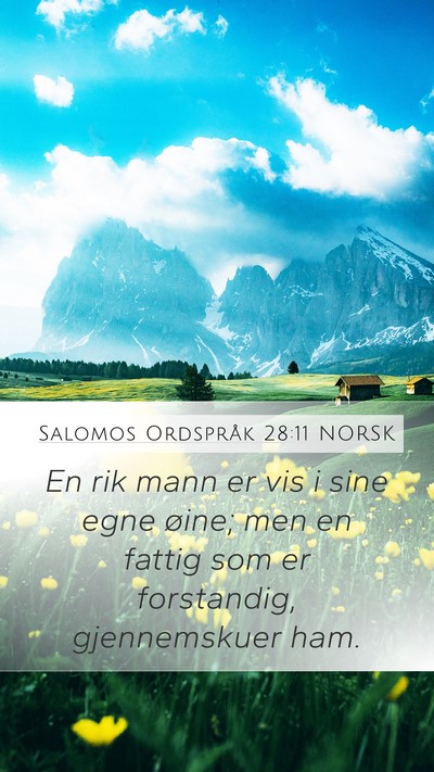 Salomos Ordspråk 28:11 NORSK Bible Verse Image