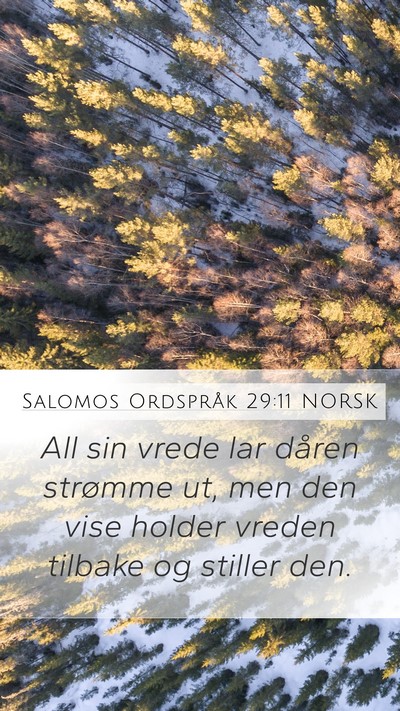 Salomos Ordspråk 29:11 NORSK Bible Verse Image