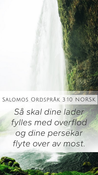Salomos Ordspråk 3:10 NORSK Bible Verse Image