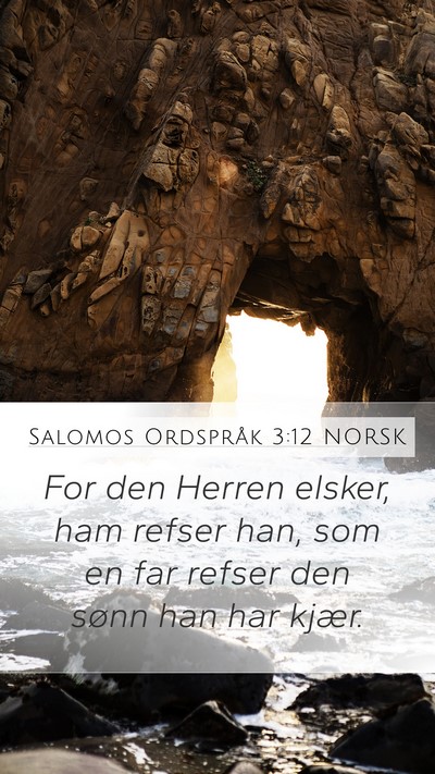 Salomos Ordspråk 3:12 NORSK Bible Verse Image