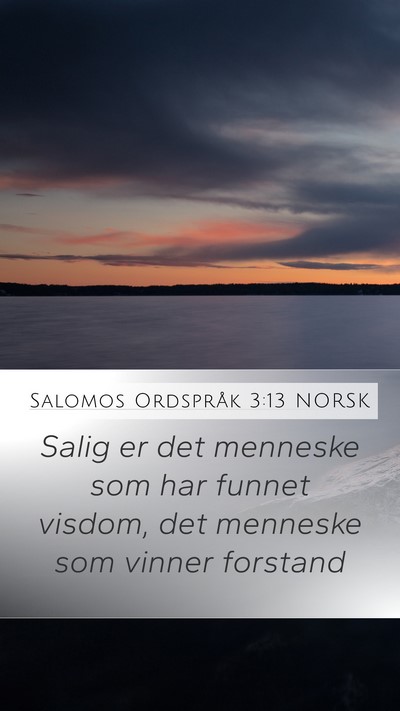Salomos Ordspråk 3:13 NORSK Bible Verse Image