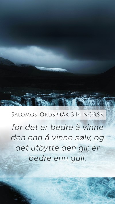 Salomos Ordspråk 3:14 NORSK Bible Verse Image