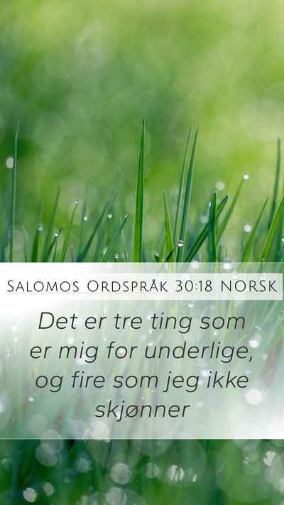 Salomos Ordspråk 30:18 NORSK Mobile Phone Wallpaper - Det er tre ting som er mig for underlige, og fire - Mobile Bible Verse Wallpaper