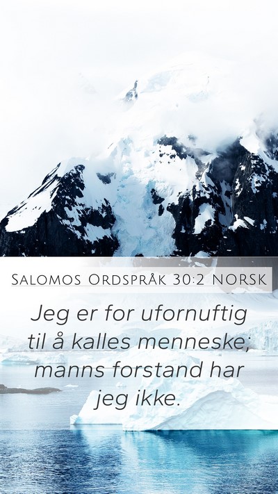 Salomos Ordspråk 30:2 NORSK Bible Verse Image