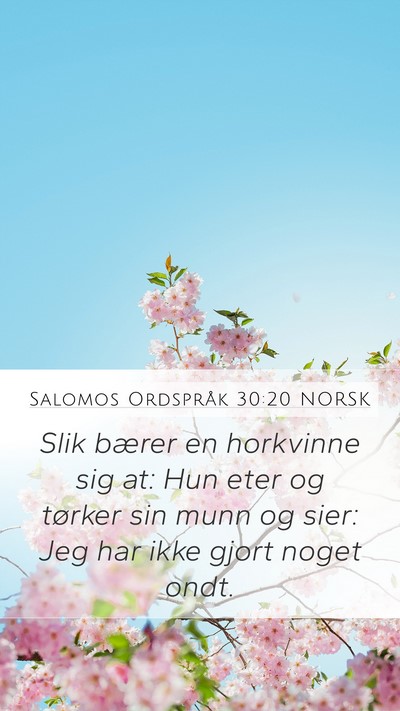 Salomos Ordspråk 30:20 NORSK Bible Verse Image