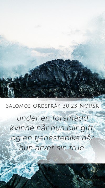 Salomos Ordspråk 30:23 NORSK Bible Verse Image