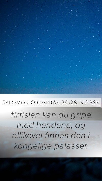 Salomos Ordspråk 30:28 NORSK Mobile Phone Wallpaper - firfislen kan du gripe med hendene, og allikevel - Mobile Bible Verse Wallpaper