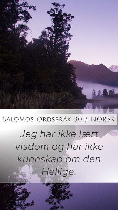 Salomos Ordspråk 30:3 NORSK Bible Verse Image