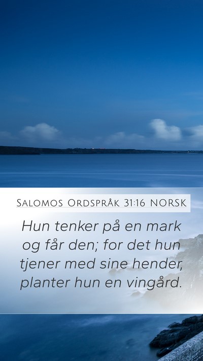 Salomos Ordspråk 31:16 NORSK Bible Verse Image