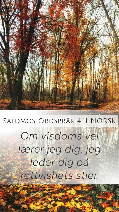 Salomos Ordspråk 4:11 NORSK Bible Verse Image