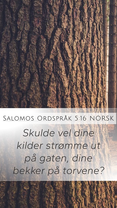 Salomos Ordspråk 5:16 NORSK Mobile Phone Wallpaper - Skulde vel dine kilder strømme ut på gaten, - Mobile Bible Verse Wallpaper