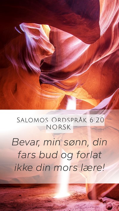 Salomos Ordspråk 6:20 NORSK Bible Verse Image