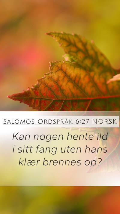 Salomos Ordspråk 6:27 NORSK Bible Verse Image