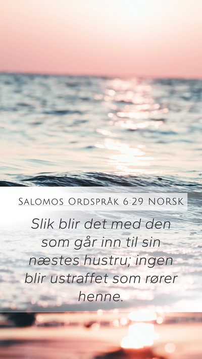 Salomos Ordspråk 6:29 NORSK Bible Verse Image