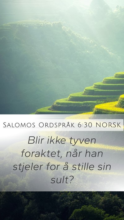 Salomos Ordspråk 6:30 NORSK Bible Verse Image